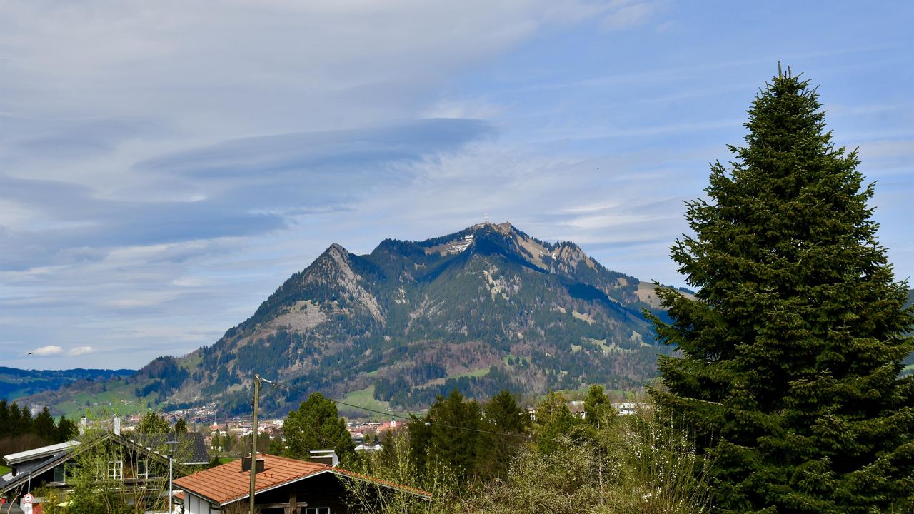 Foto 05.04.24, 14 25 17 Foto 05.04.24, 14 25 17